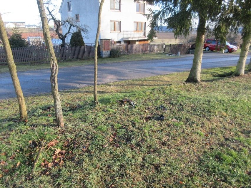 Pozemek pro bydlení · Kluky u Písku, 398 19 - 4