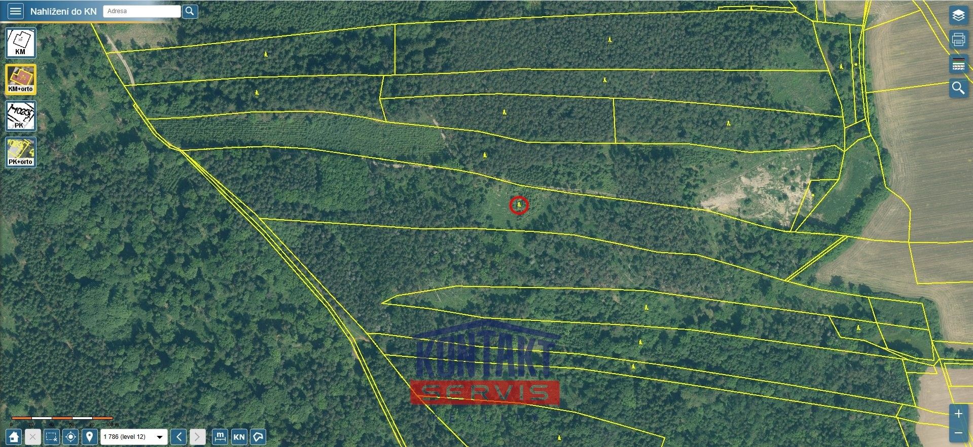 Prodej les - Krašlovice