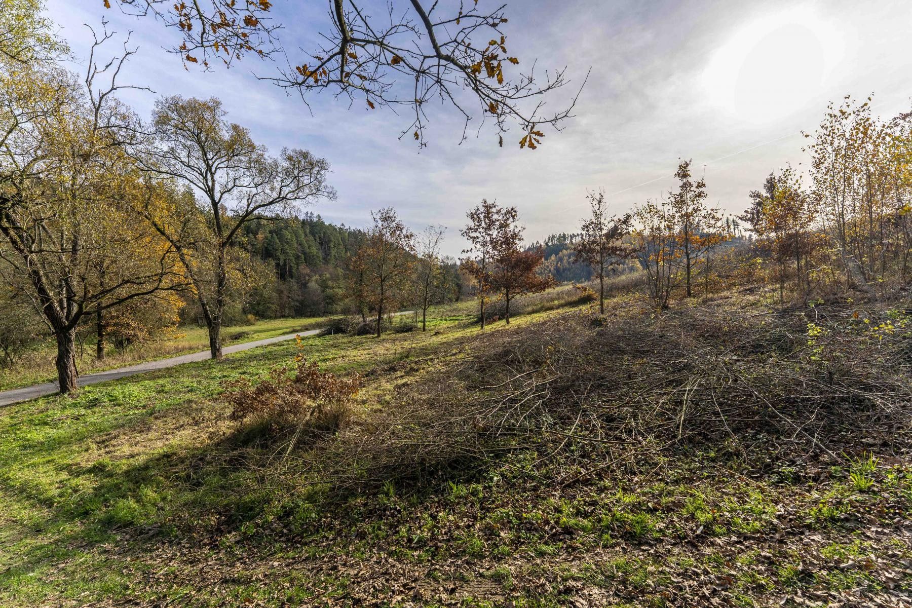 Prodej pozemek - Všechlapy, Benešov, 774 m²