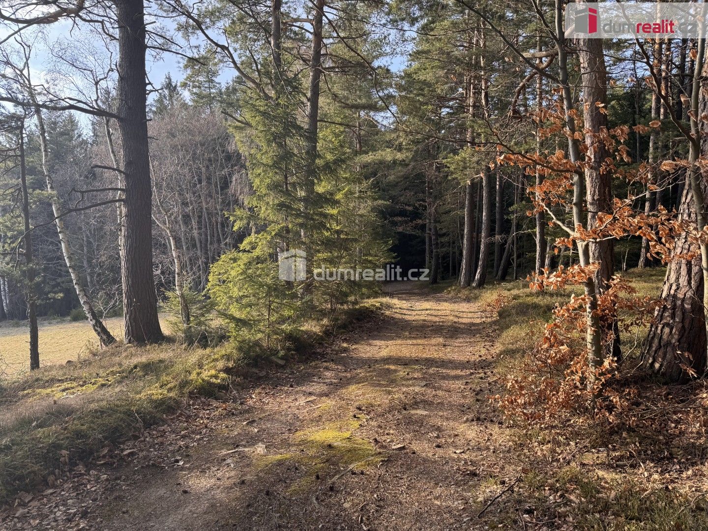 Lesy, Jelemek, Nebahovy, 11 340 m² - 2