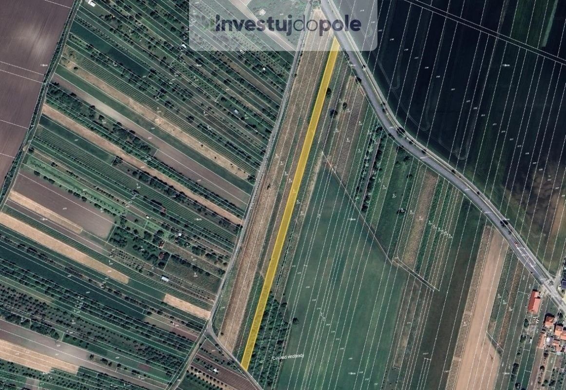 Pozemky pro bydlení, Šakvice, 691 67