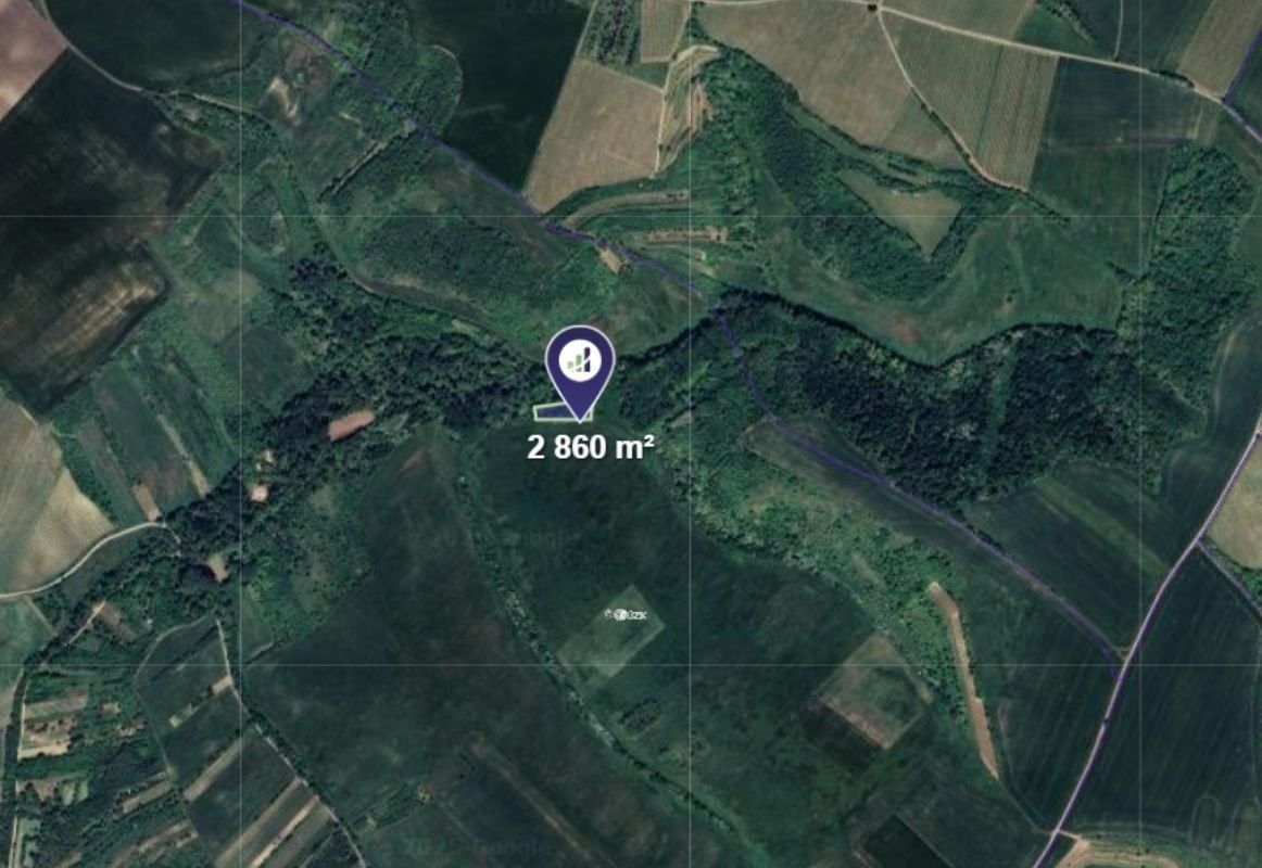 Louky, Velké Němčice - 2
