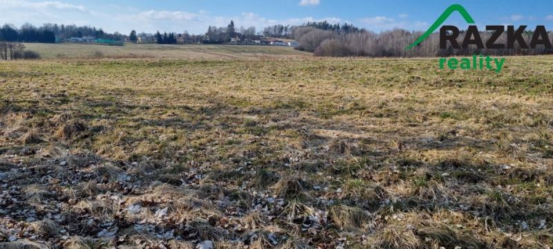 Prodej pozemek pro bydlení - Ctiboř, 347 01