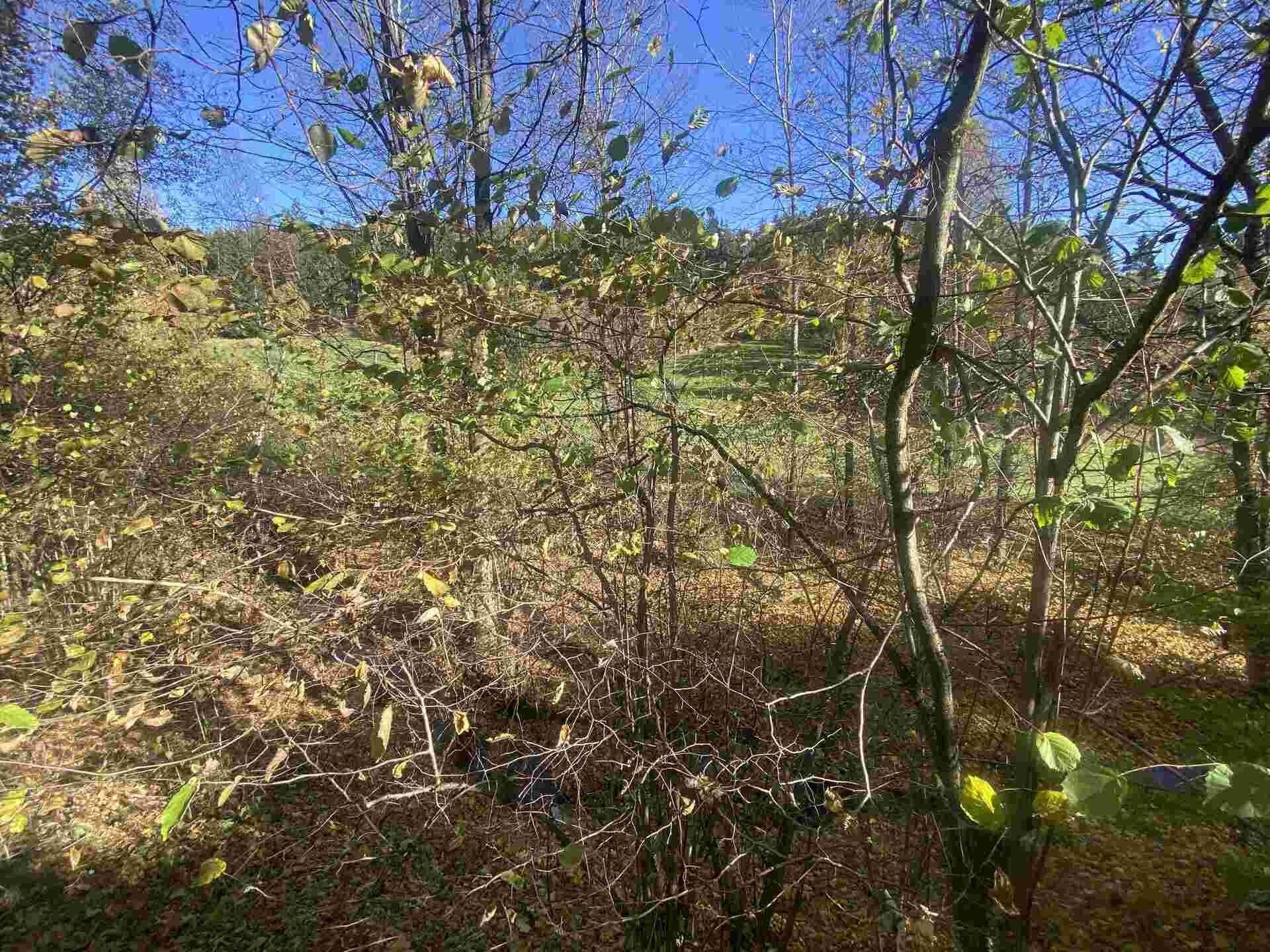 Pozemek · 449 m² · Lučany nad Nisou Jindřichov - 3