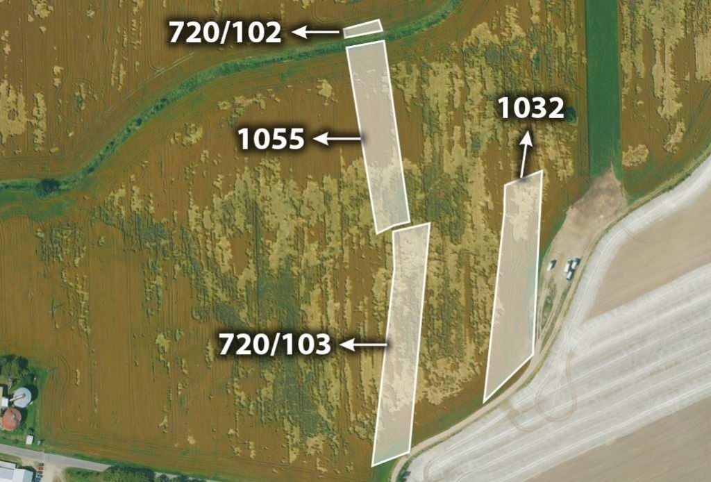 Zemědělské pozemky, Přešťovice, 40 970 m²