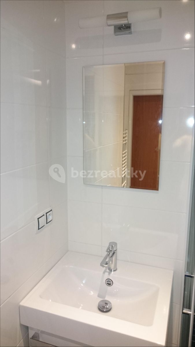 Byt 1+kk · 22 m² · Purkyňova, Liberec - Ruprechtice, Liberecký kraj - 4