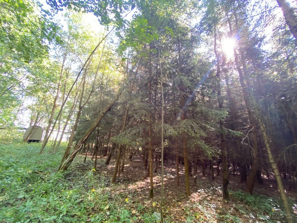 Pozemky pro bydlení, Lánov, 543 41