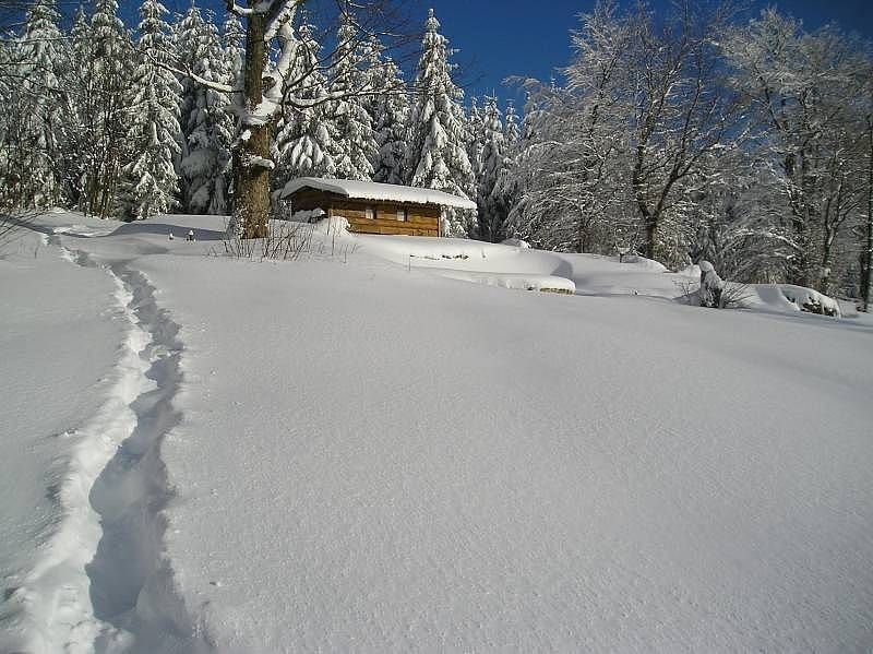 Chata · Výprachtice - Valteřice u Výprachtic, Pardubický kraj - 3