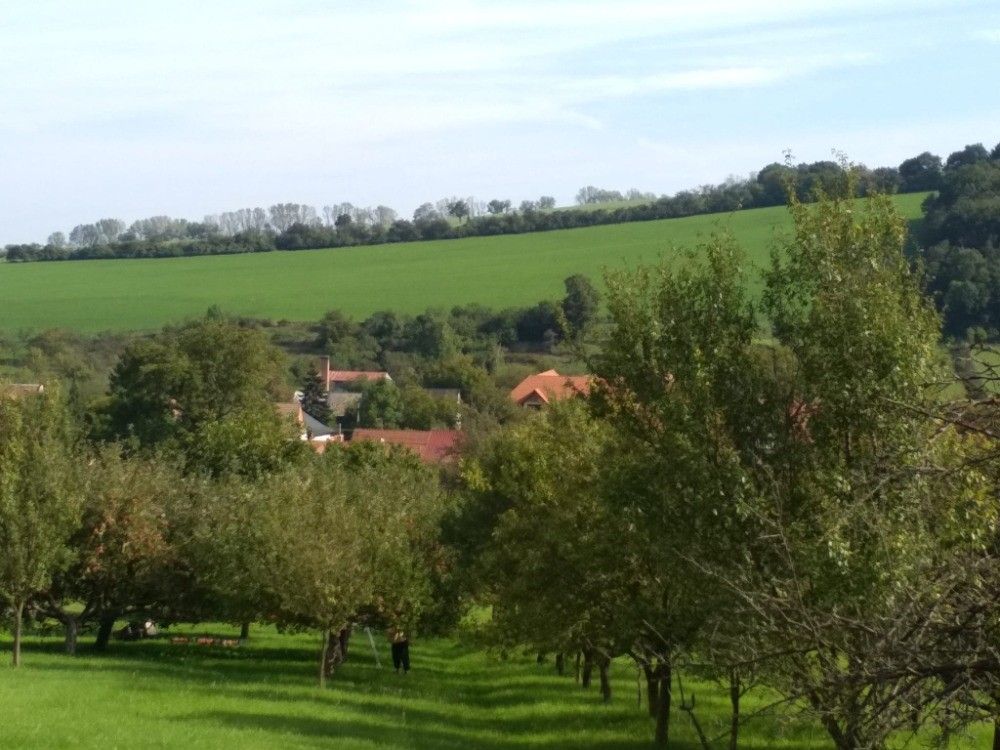 Prodej pozemek pro bydlení - Radějov u Hodonína, 696 67