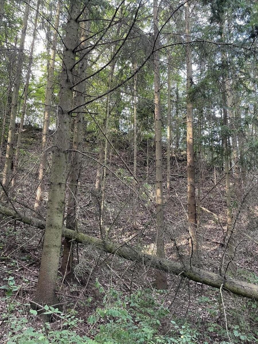 Prodej pozemek pro bydlení - Moravská Třebová, 571 01