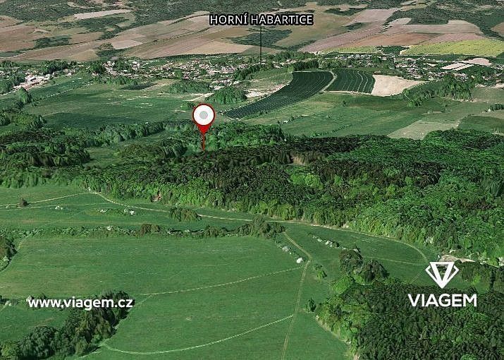 Les · Horní Habartice, okres Děčín, Ústecký kraj - 1