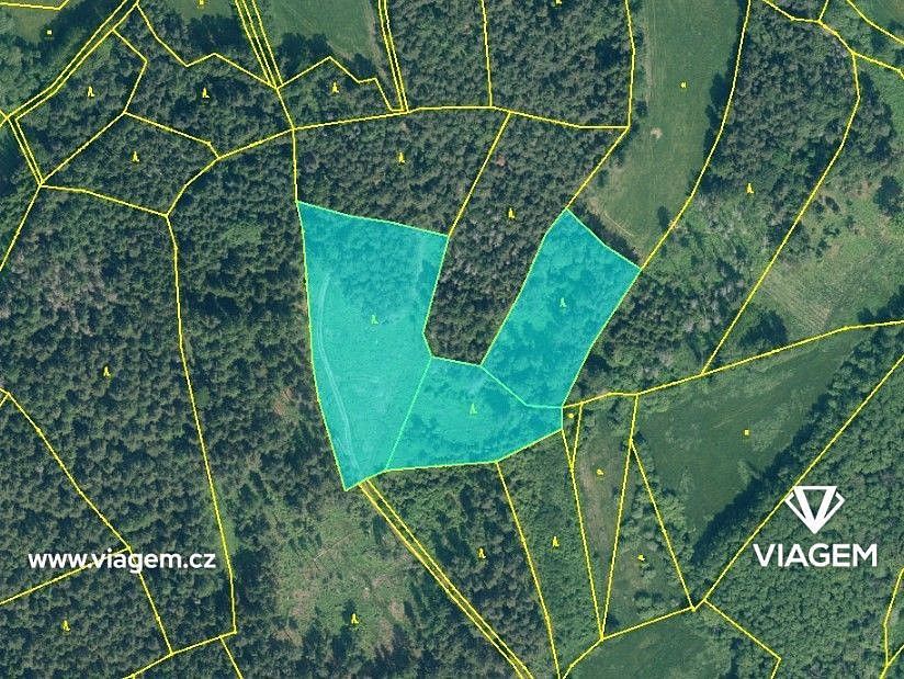 Les · Volyně, okres Strakonice, Jihočeský kraj - 4