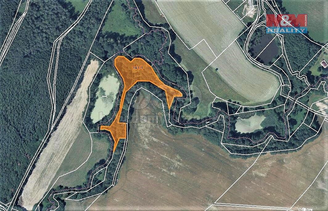 Les · Česká Lípa, Liberecký kraj - 4
