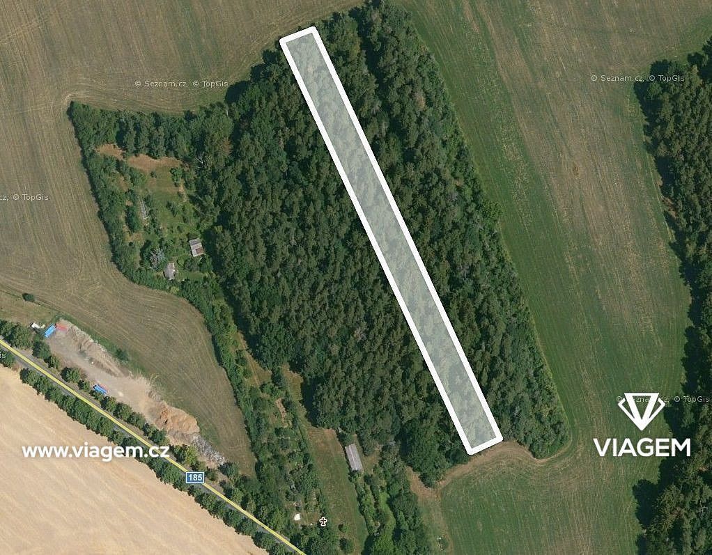 Les · Koloveč, okres Domažlice, Plzeňský kraj - 2