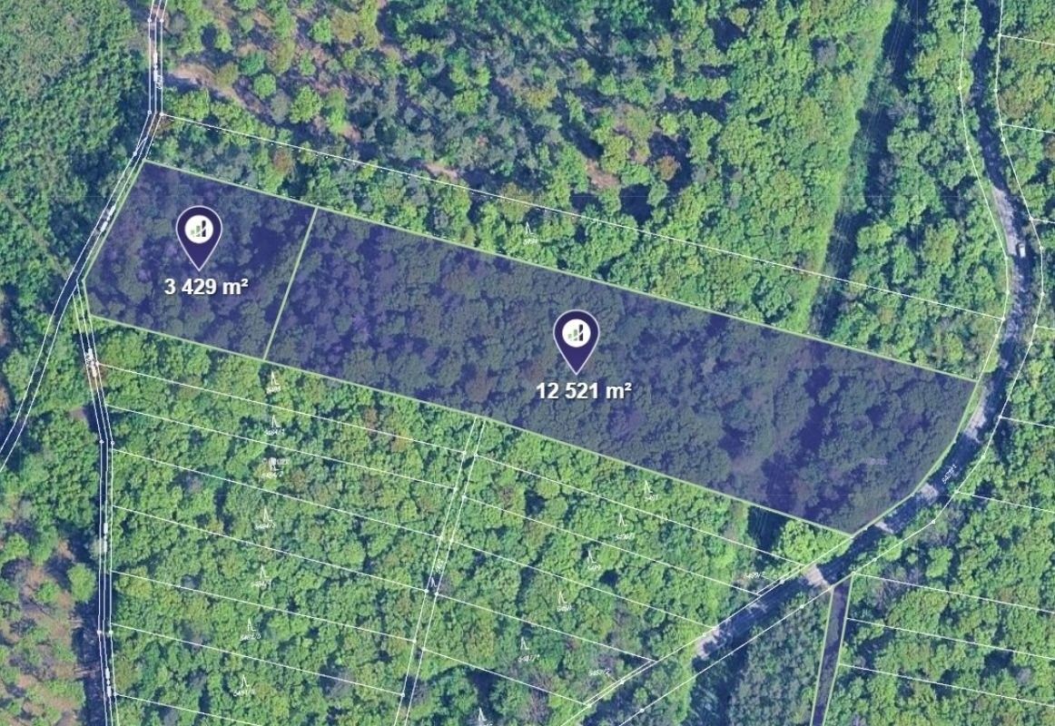 Les, 8 008 m²
