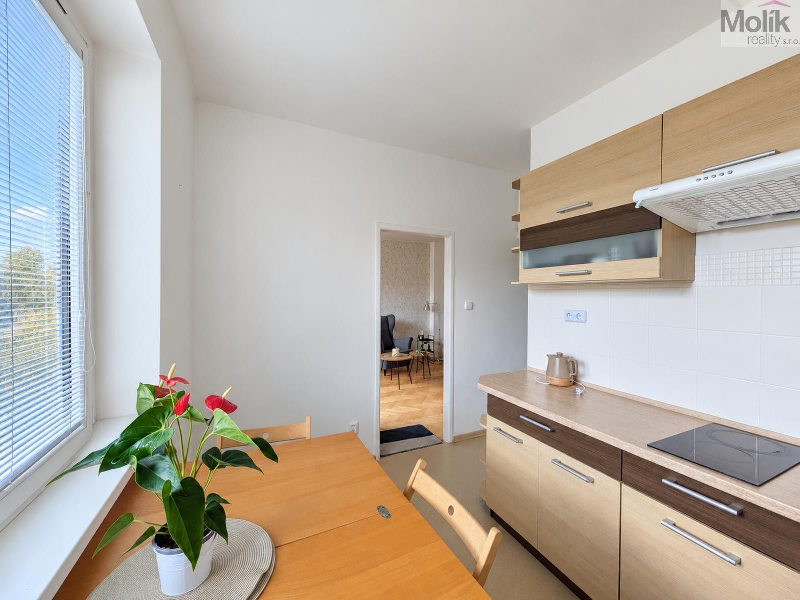 Byt 2+1 · 49 m² · Josefa Suka, Teplice - 3