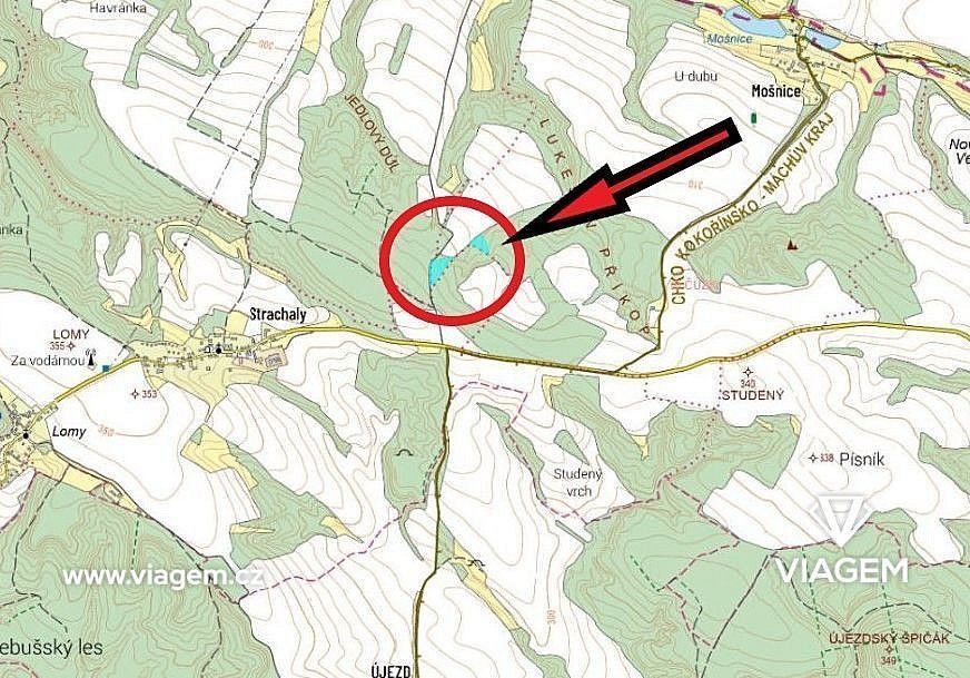 Les · Snědovice, okres Litoměřice, Ústecký kraj - 4