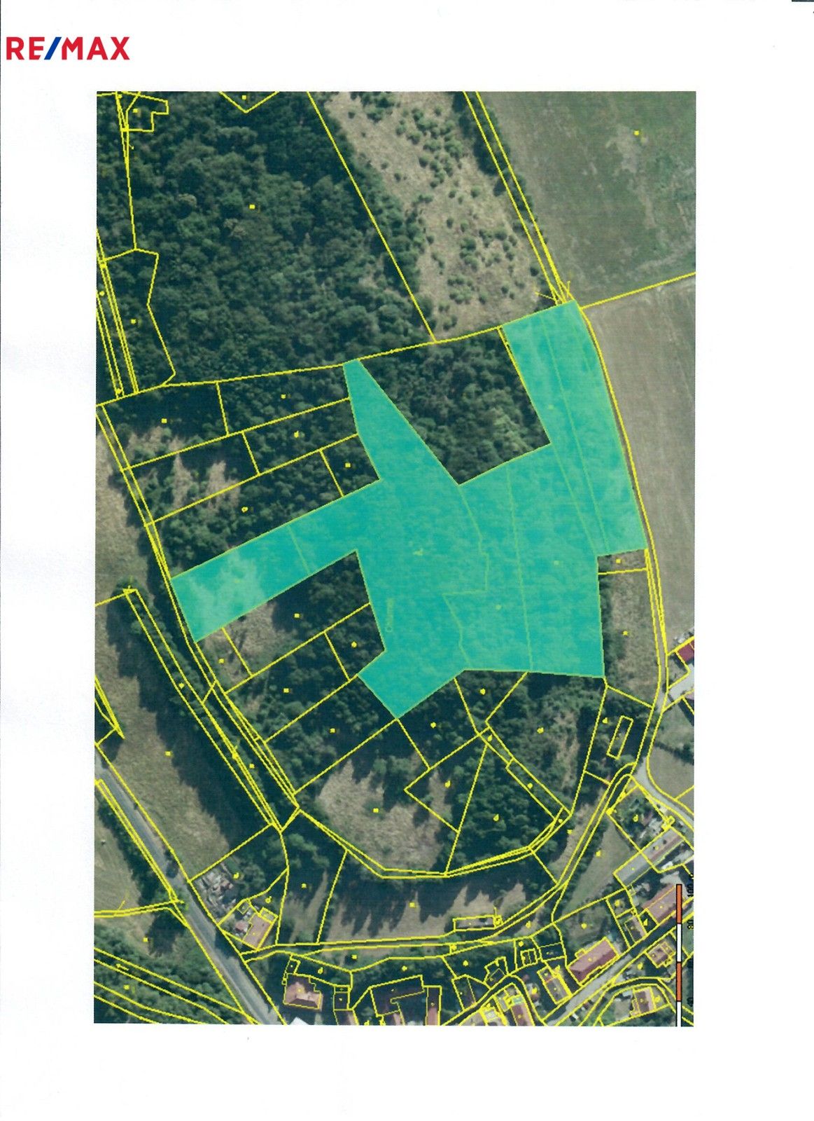 Prodej les - Běštín, 21 m²