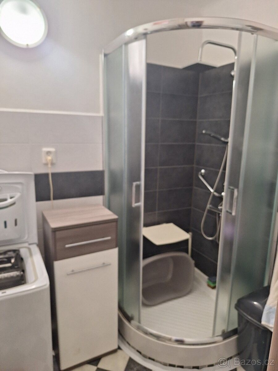 Pronájem byt - Meziboří u Litvínova, 435 13