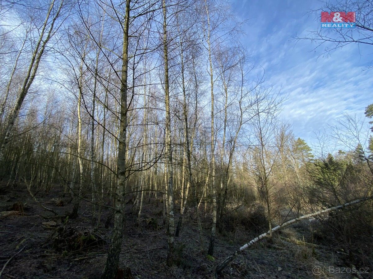 Prodej les - Koloveč, 345 43, 5 961 m²