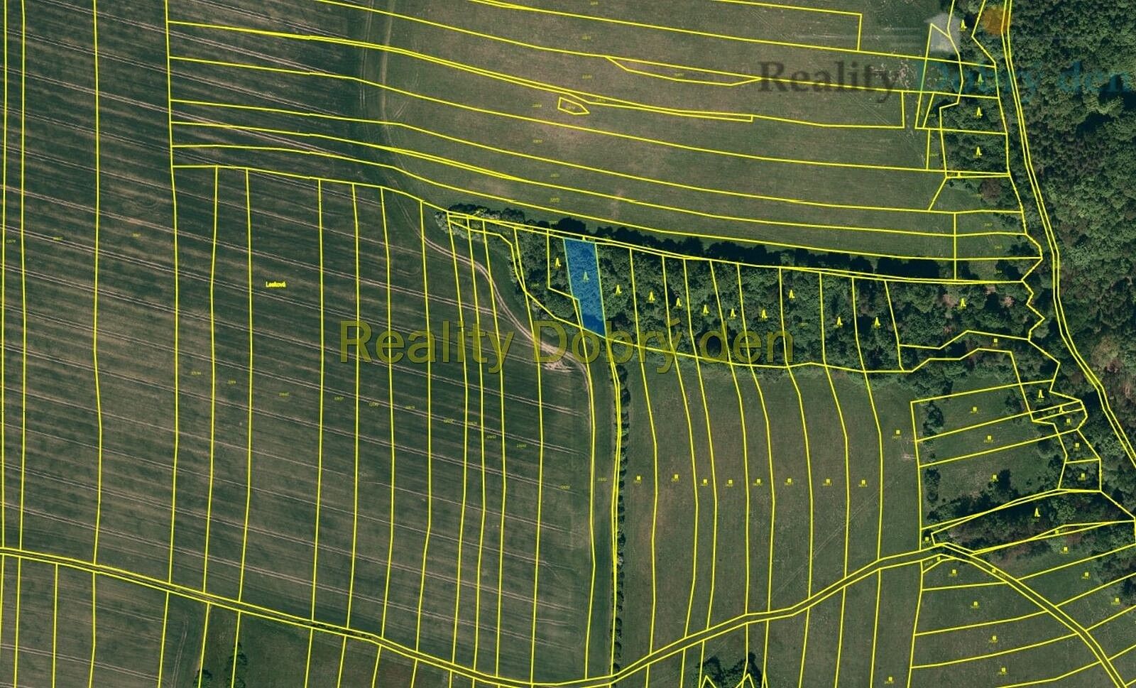 Lesy, Hradec nad Moravicí - Benkovice, okres Opava, Moravskoslezský kraj - 2