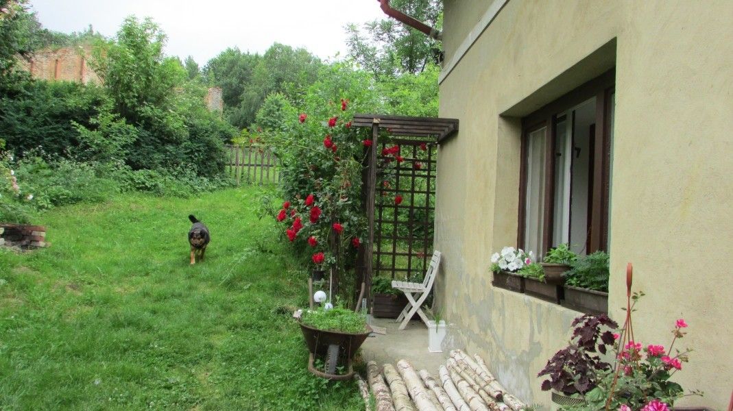 Rodinné domy, Velké Kunětice, 790 52