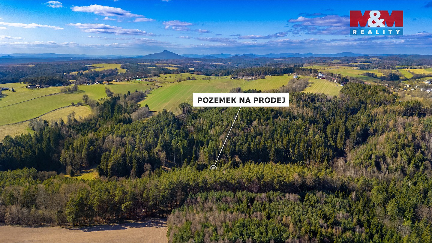 Les · Všelibice - Přibyslavice, okres Liberec - 4