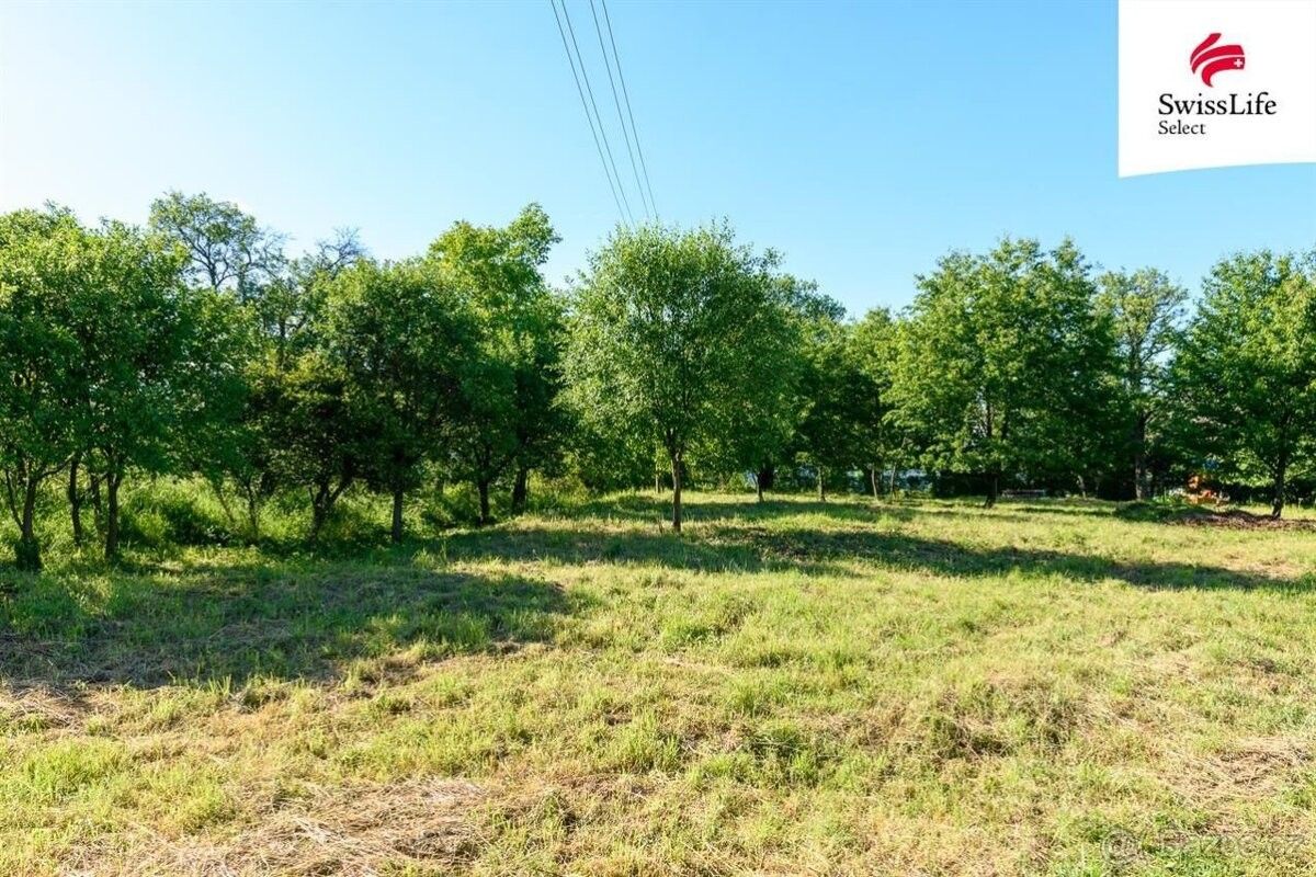 Pozemky pro bydlení, Slezské Rudoltice, 793 97