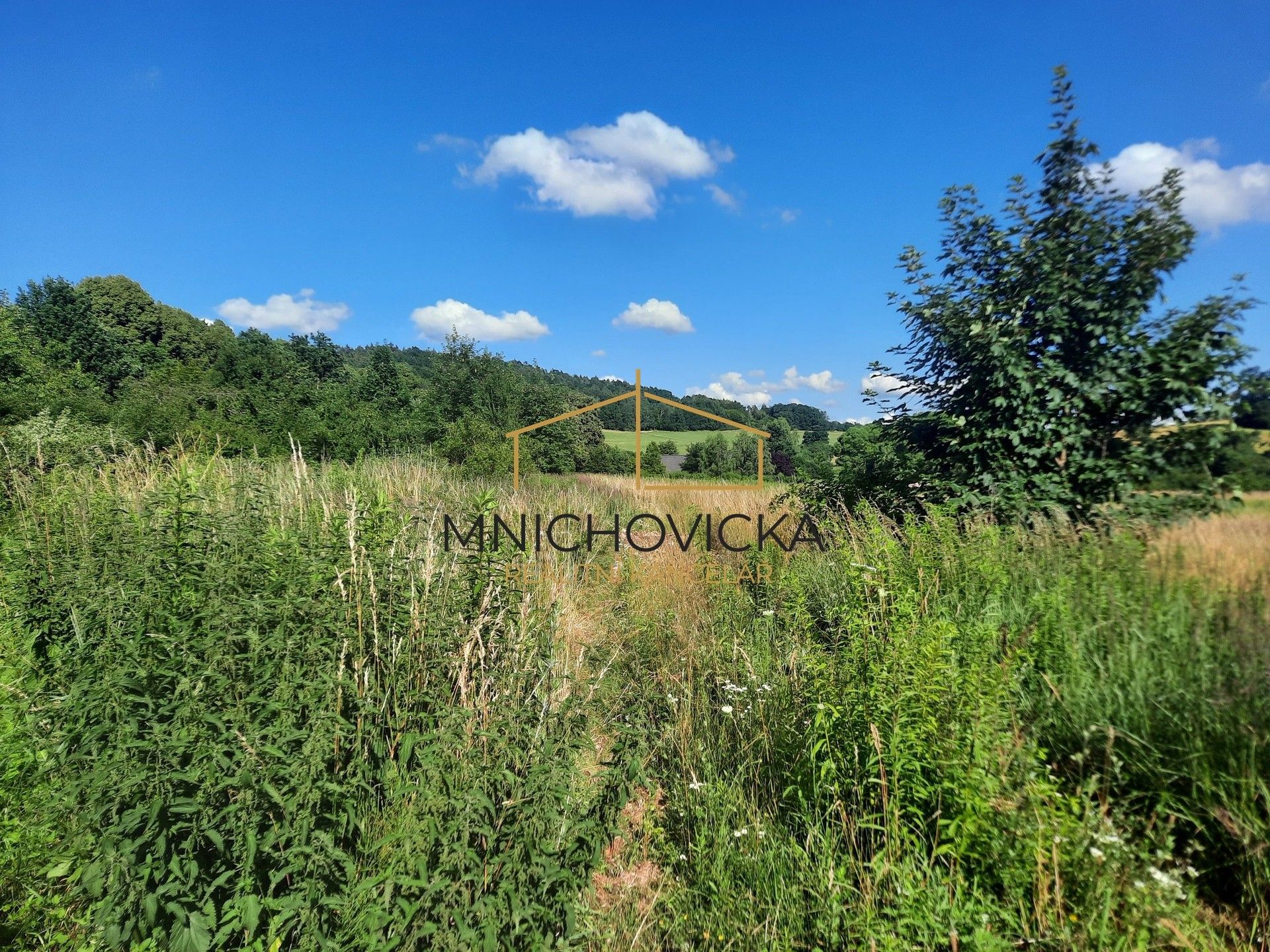 Louka · Hrusická, Mnichovice - 4