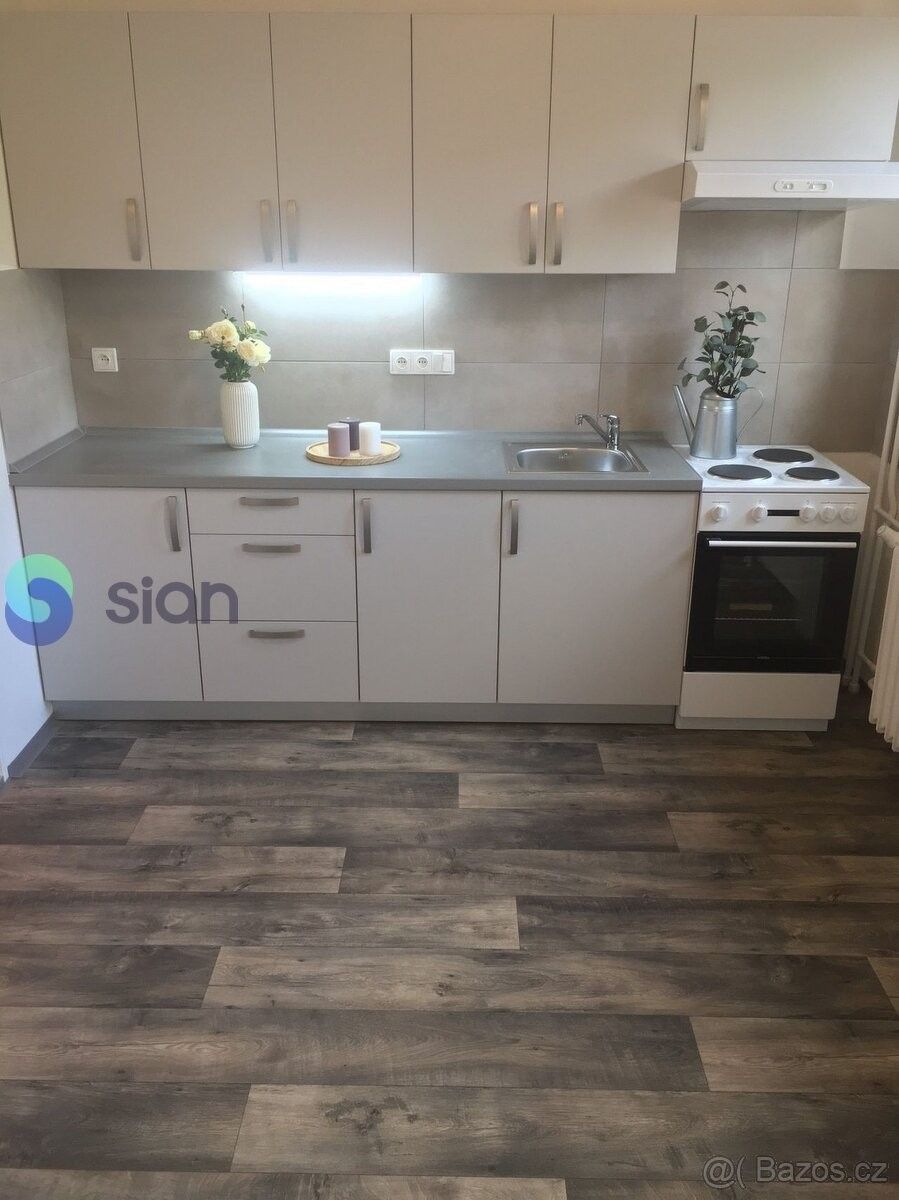 Pronájem byt - Ostrava, 700 30