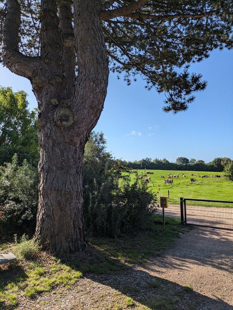 Prodej rodinný dům - , Šlesvicko-Holštýnsko, 140 m² - 5