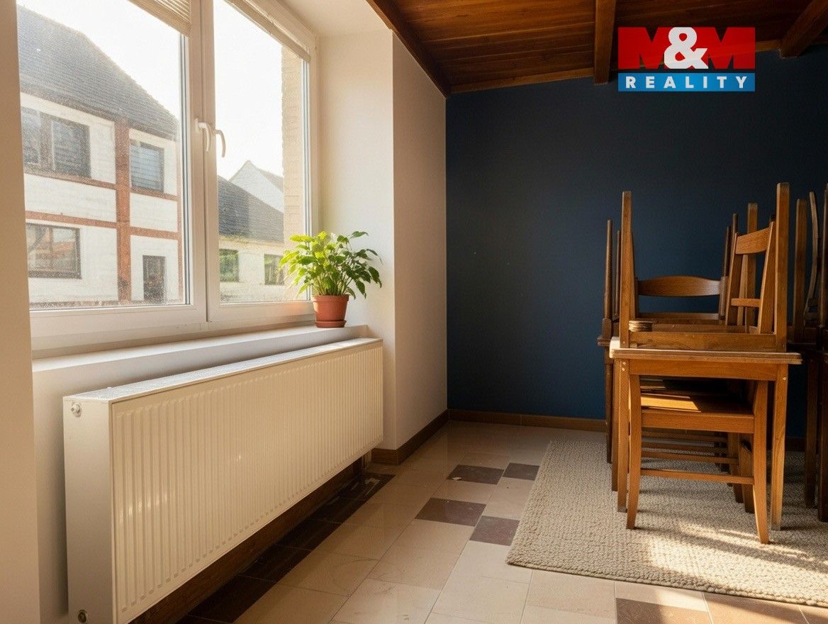 Restaurace · 700 m² · Kasejovice - 4