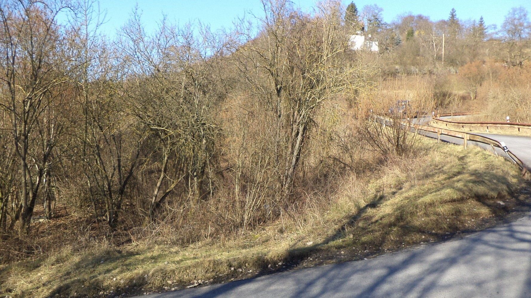 Zahrada · Trmice, okres Ústí nad Labem, Ústecký kraj - 2