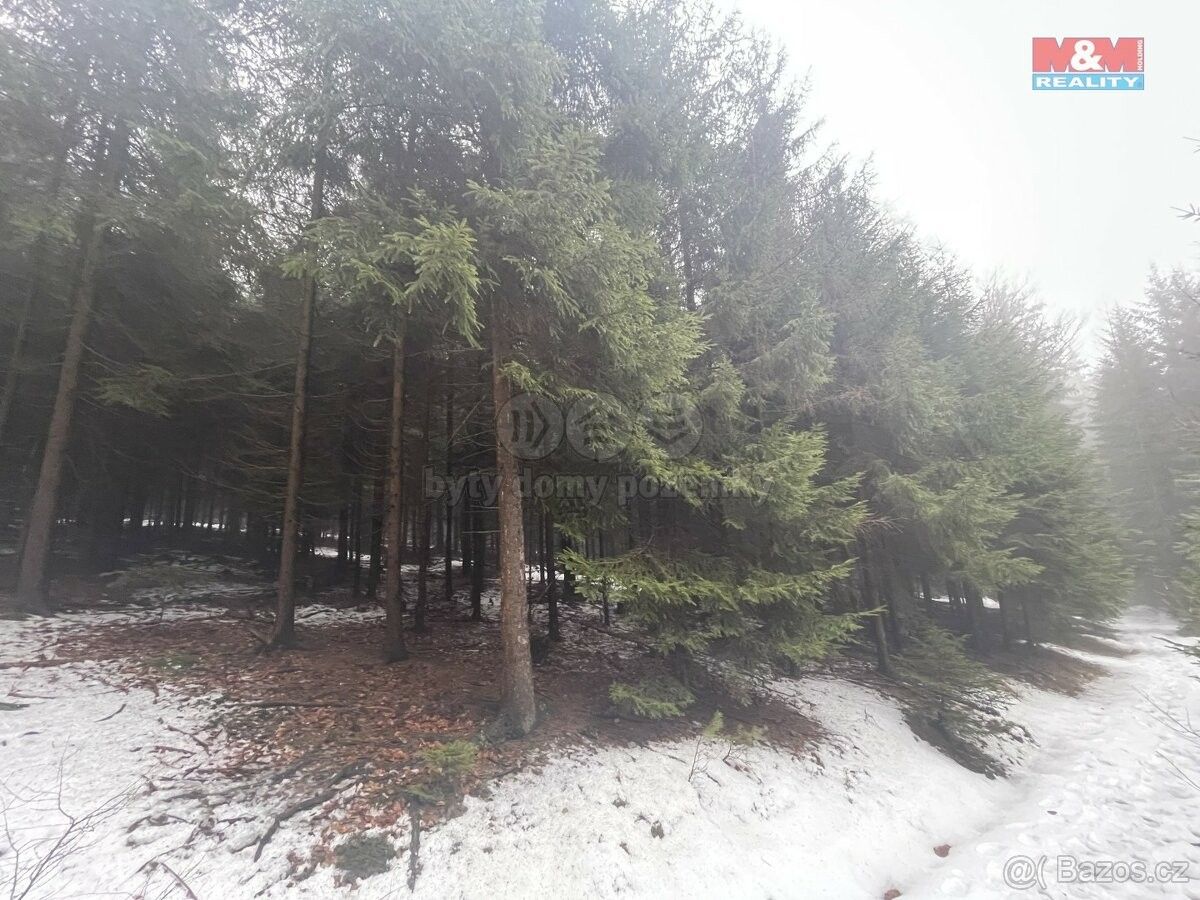 Lesy, Česká Třebová, 560 02, 26 820 m²