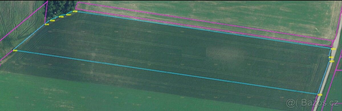 Prodej zemědělský pozemek - Uherčice u Hustopečí, 691 62, 22 500 m²