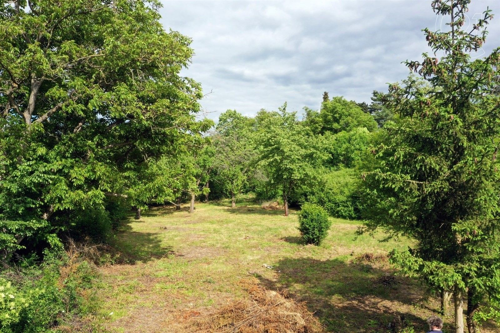 Prodej komerční pozemek - Suchdol, Praha