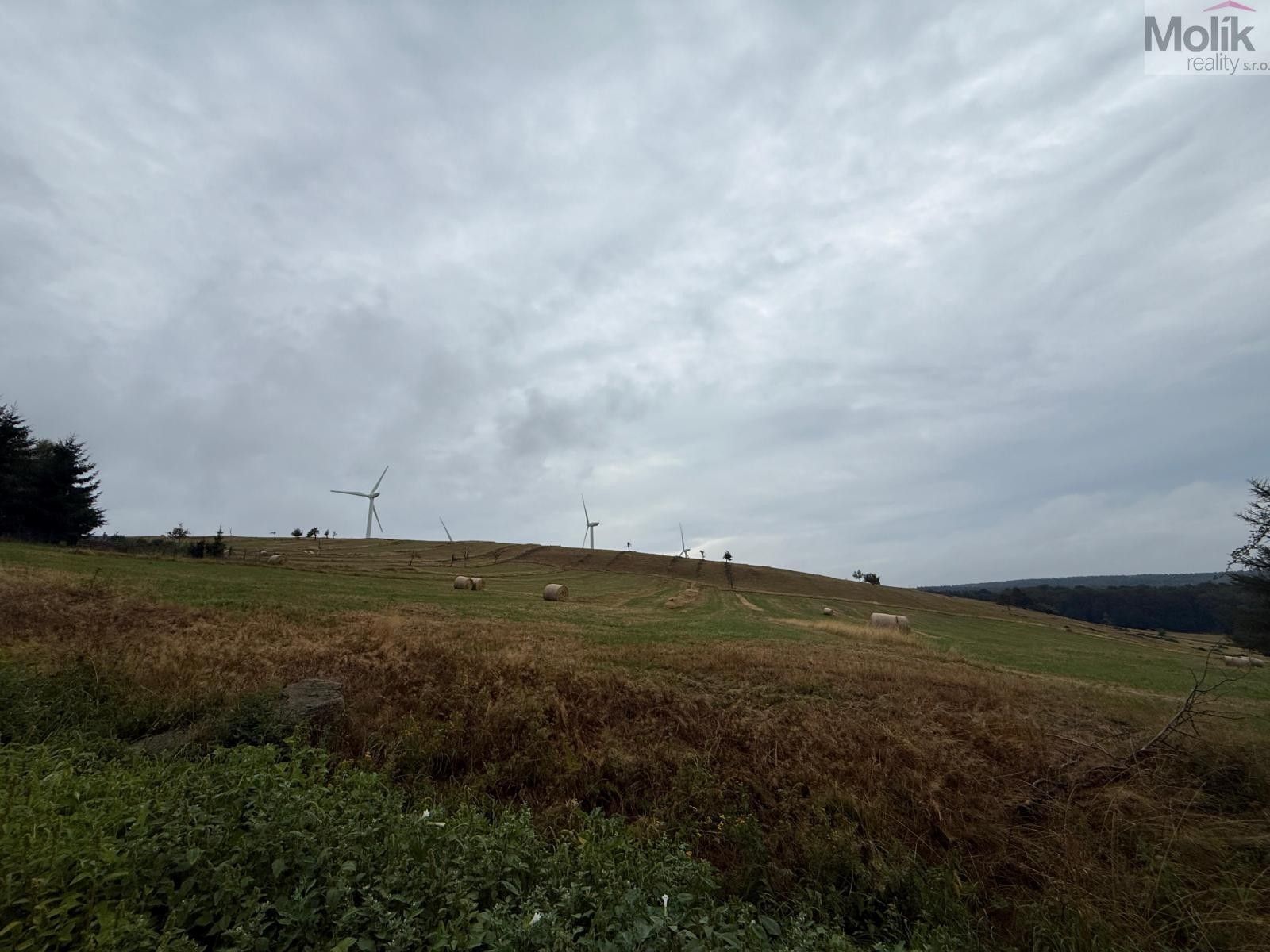 Pozemky pro bydlení, Nová Ves v Horách, 3 241 m² - 2