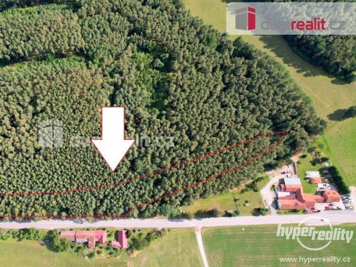 Prodej les - Křemže, Mříč, 8 539 m²