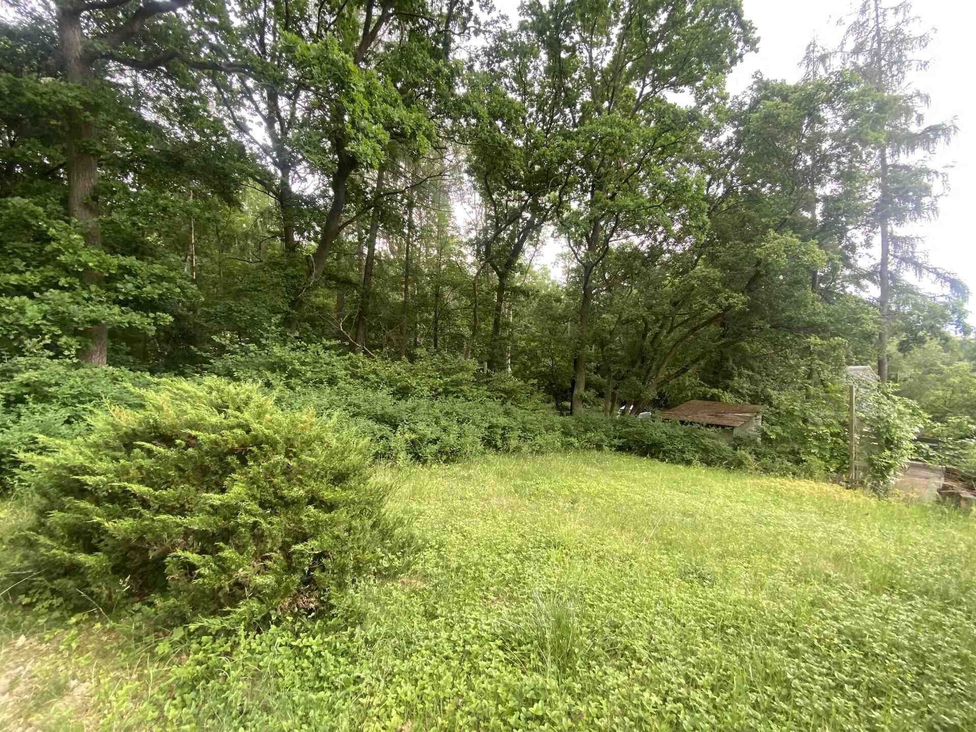 Pozemek · 576 m² · Třebívlice Skalice - 3