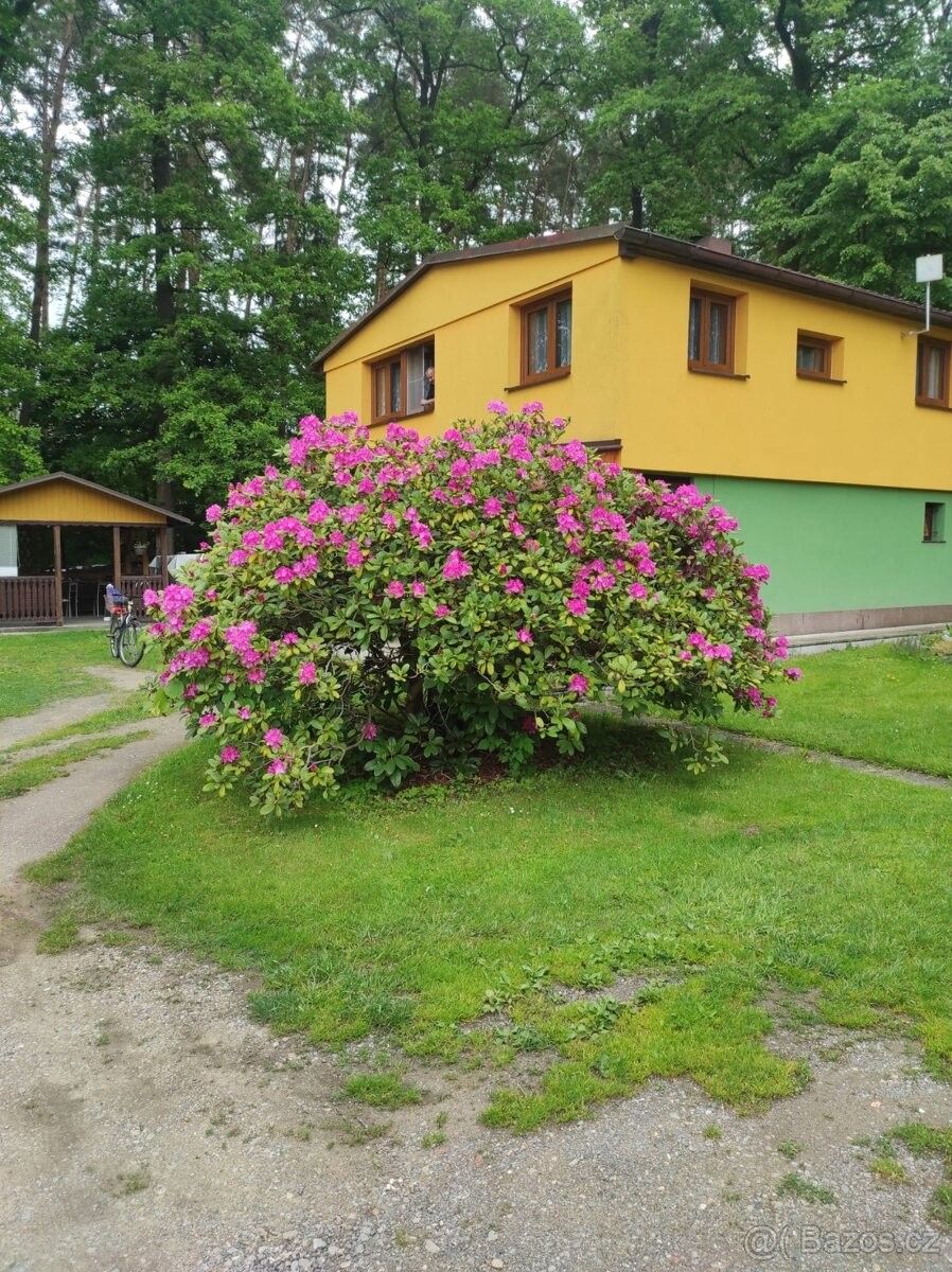 Chaty, Hluboká nad Vltavou, 373 41