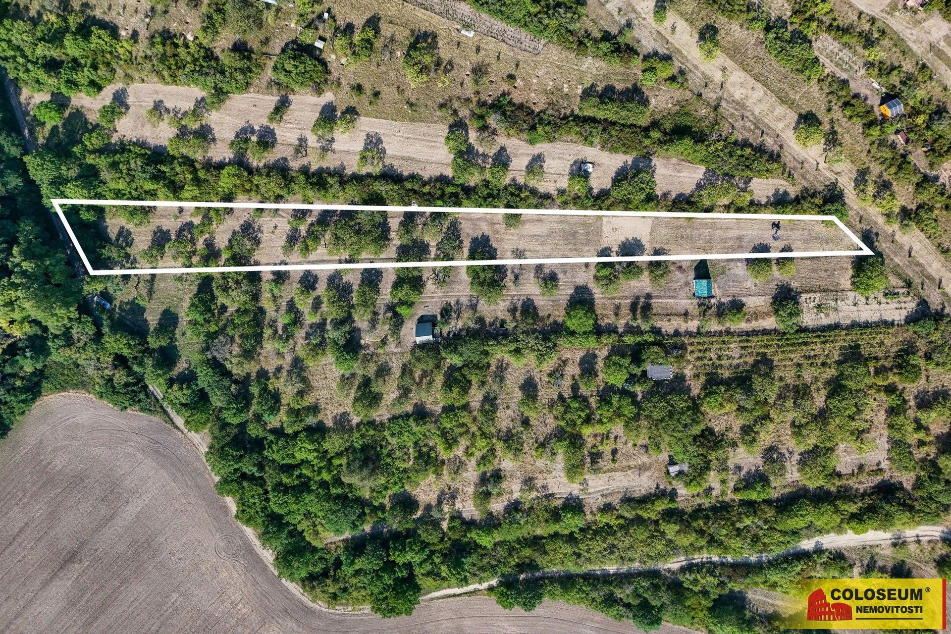 Prodej zemědělský pozemek - Židlochovice - 5