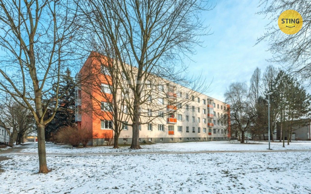 1+1, Družstevní, Pardubice, 36 m²