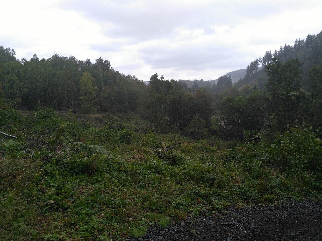 Zahrada, 7 879 m²