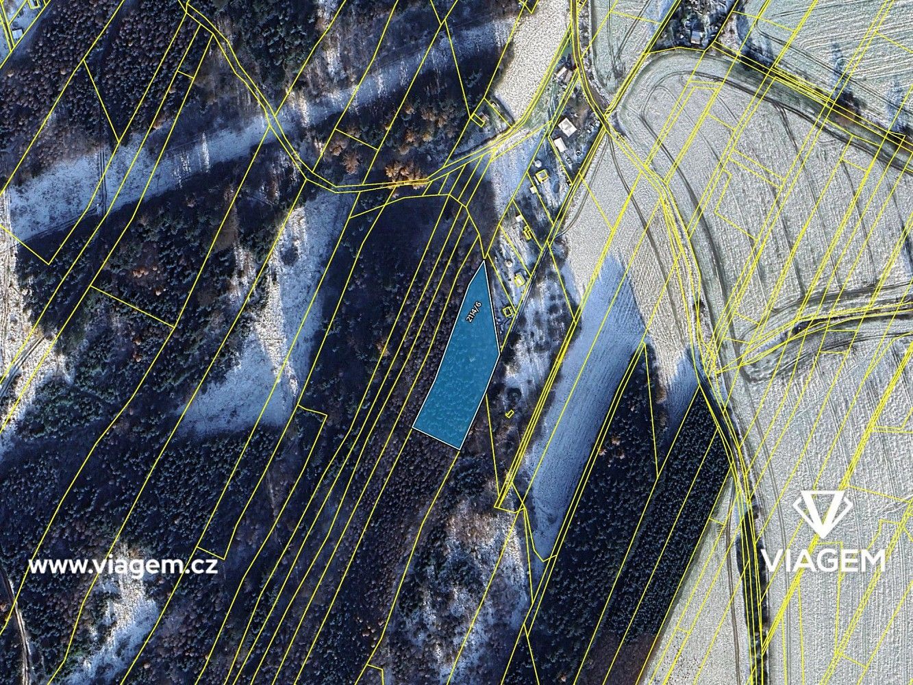 Les · Česká Třebová, okres Ústí nad Orlicí, Pardubický kraj - 4