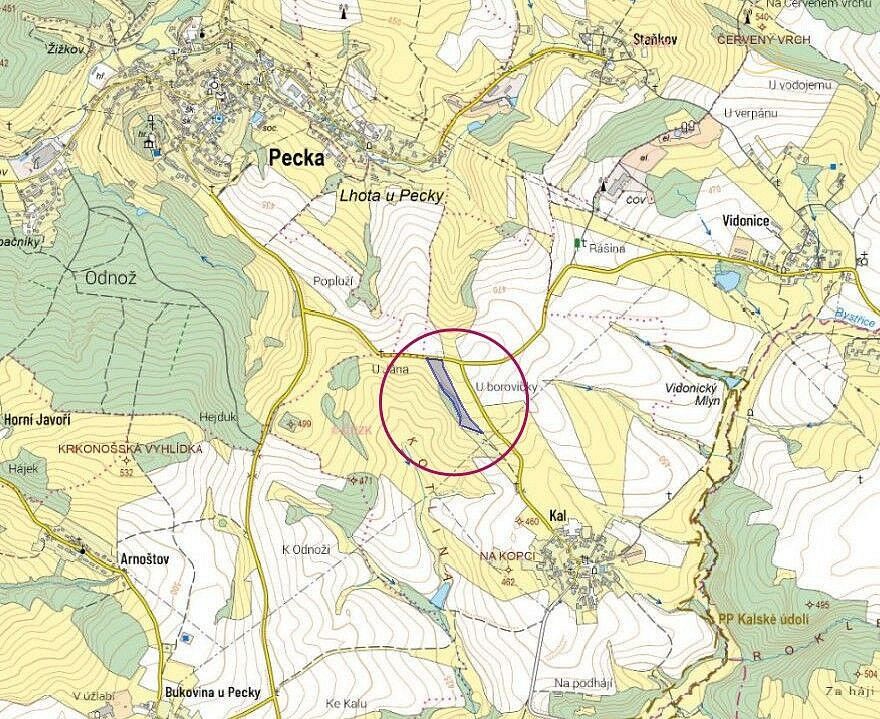 Zemědělský pozemek · Pecka - Kal, okres Jičín - 3