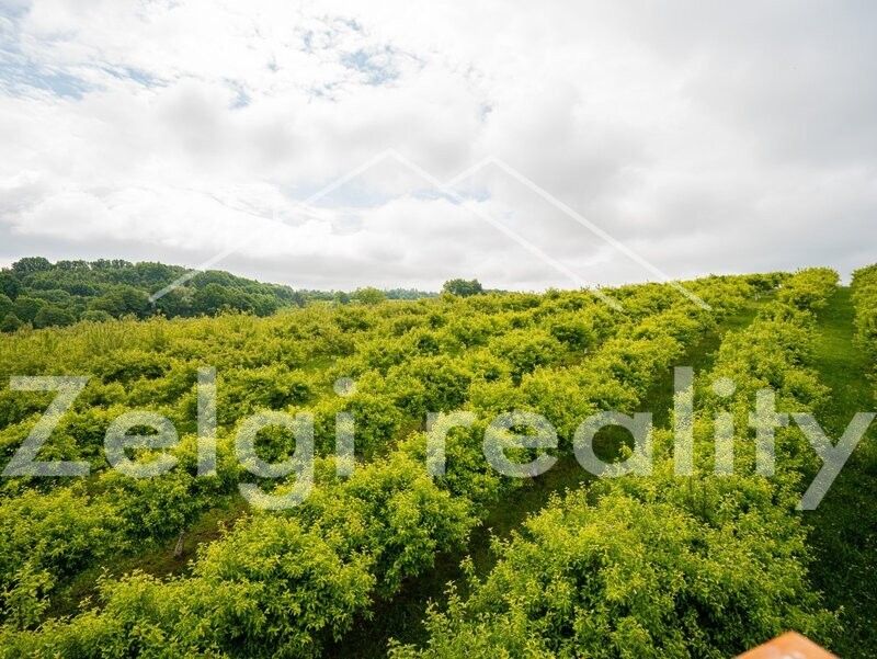 Prodej pozemek pro bydlení - Bělotín, 753 64