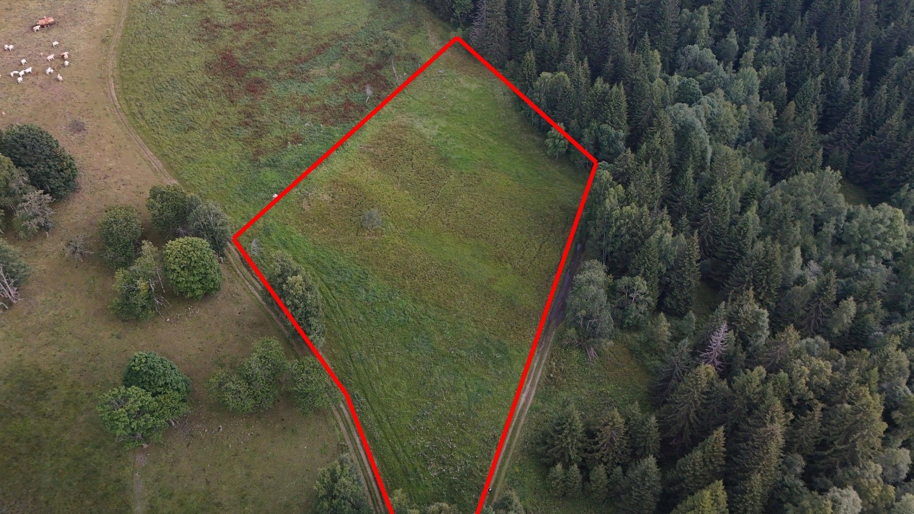 Zahrada, 8 891 m²