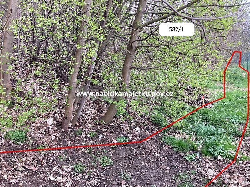 Pozemek · Zbraslavec, okres Blansko, Jihomoravský kraj - 4