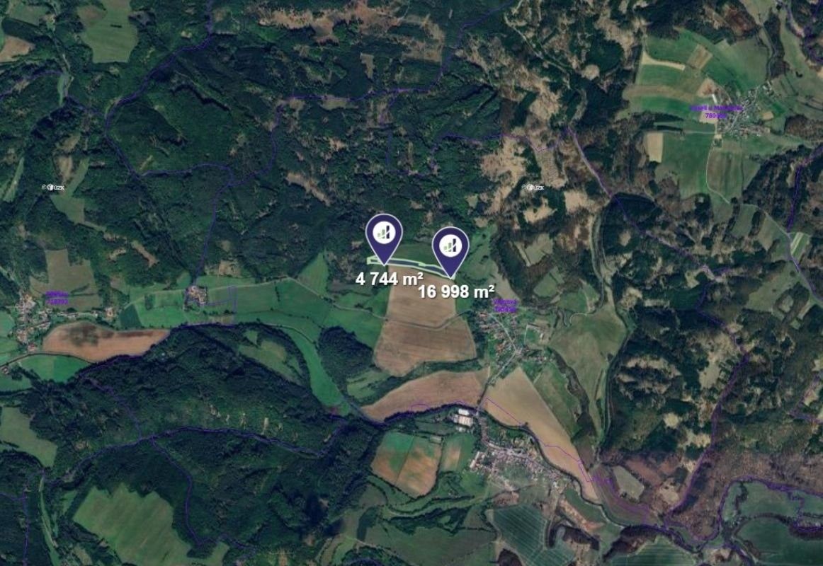 Prodej zemědělský pozemek - Vranová Lhota - 2