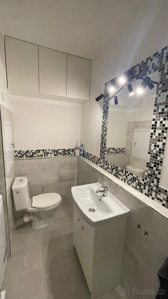 Pronájem byt - Tábor, 390 03